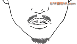 �n�i�@�A�S
