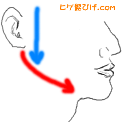 モミアゲの切り方とお手入れ